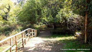 stello marchesa di Cassibile-10-02-2015 19-56-29